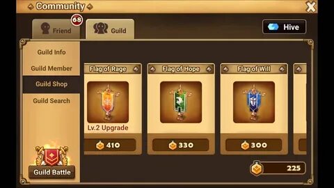 Max level guild