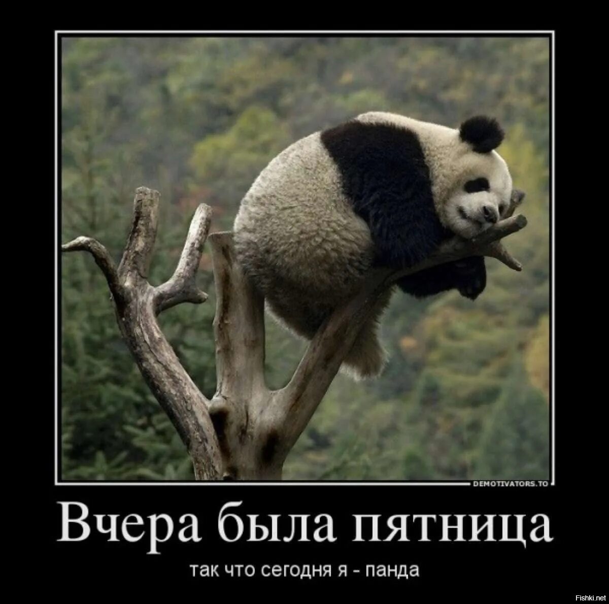 В субботу после работы