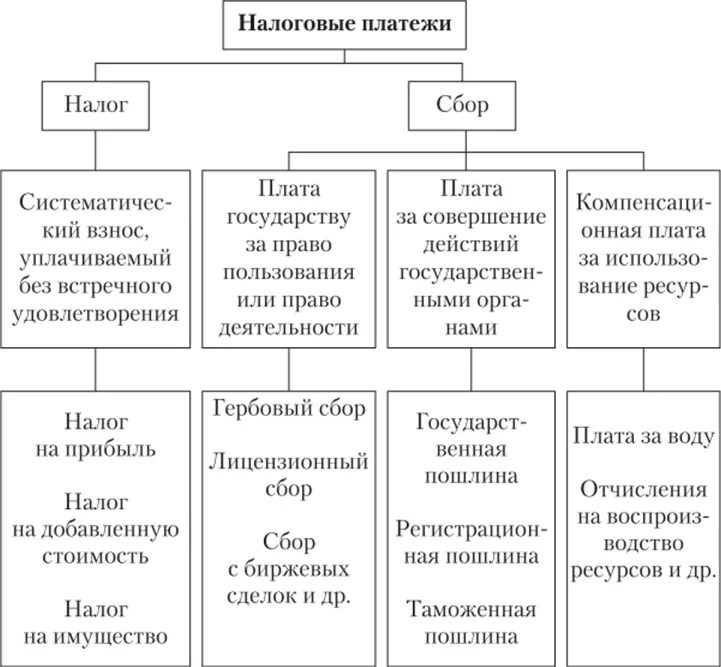 Основные платежи организации