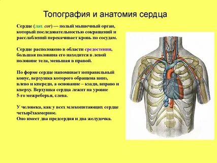 Топография презентации