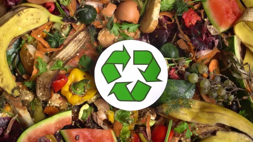 Органических отходов. Органические отходы. Переработка органических отходов. Переработка органики. Отходы овощей лого.