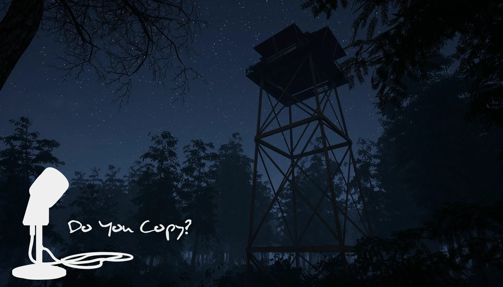 Where your night