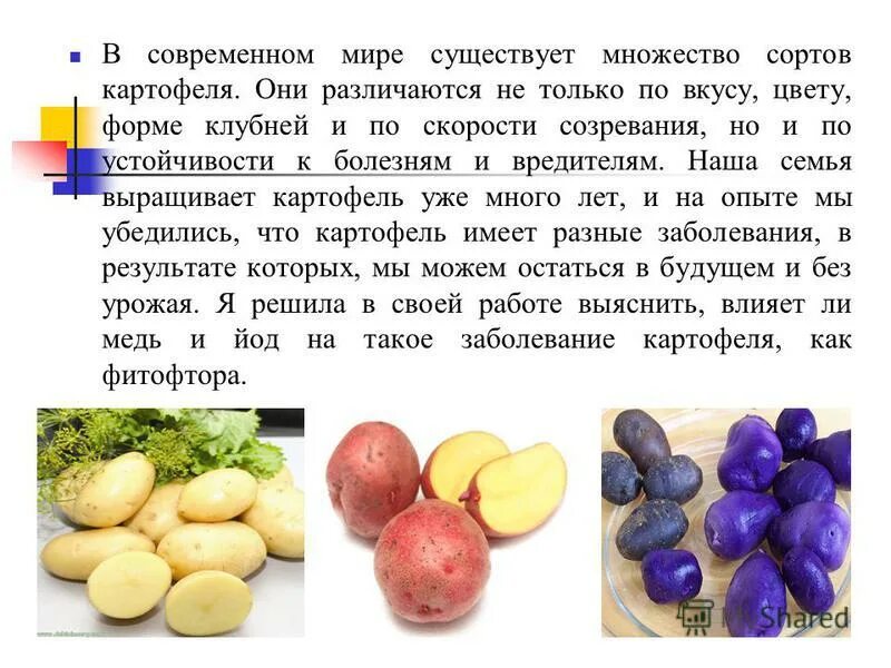 Устойчивость сортов картофеля к фитофторозу таблица. Заболевания картофеля. Болезни картофеля таблица.