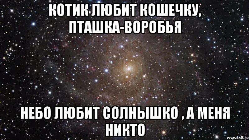 Кого любит солнышко. Котик любит кошечку птичка воробья небо любит солнышко а я люблю тебя. котик любит кошечку птичка воробья. прости солнышко я же тебя люблю. картинки с цитатами подросток девушка любит кошку.
