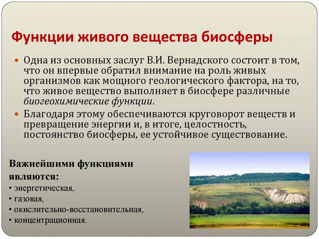 Какое утверждение о распределении живого вещества. Функции живого вещества в биосфере. функции живого в биосфере. роль живого вещества в биосфере. основные функции живого вещества в биосфере.