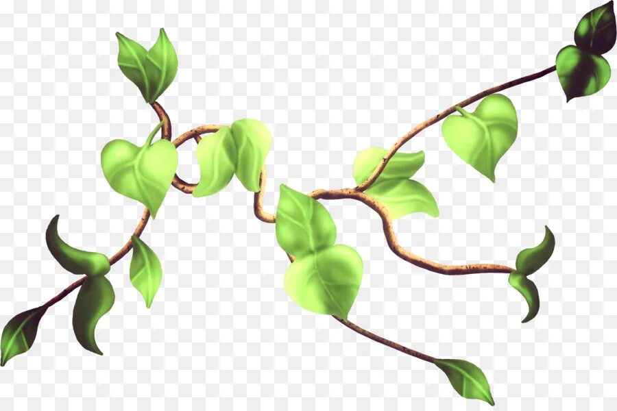 Leaf twig