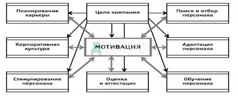 Мотивация адаптация