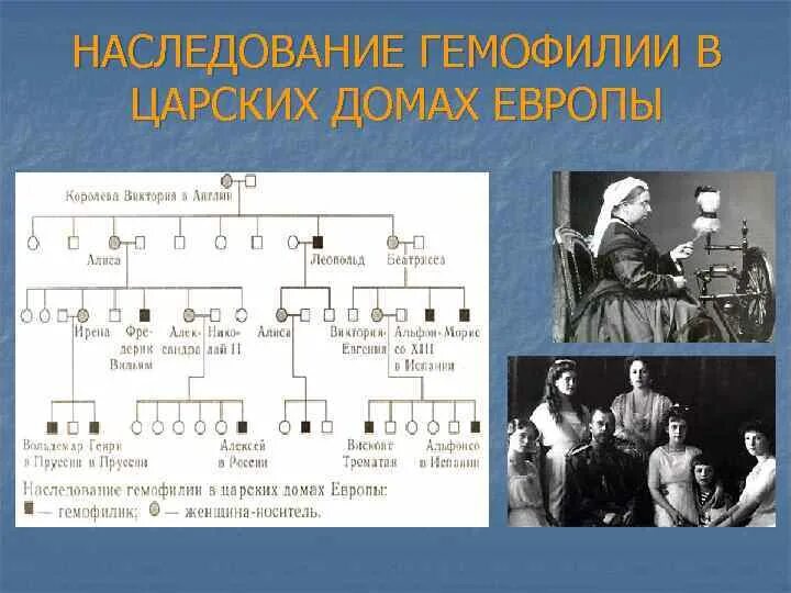 Наследование гемофилии. Гемофилия Тип наследования. Наследование гемофилии в царских домах Европы. Схема наследования гемофилии у человека.