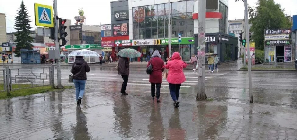 Погода в бердске. Погода в Бердске на 10 то.