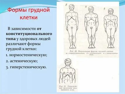Грудная клетка у ребенка 5 лет