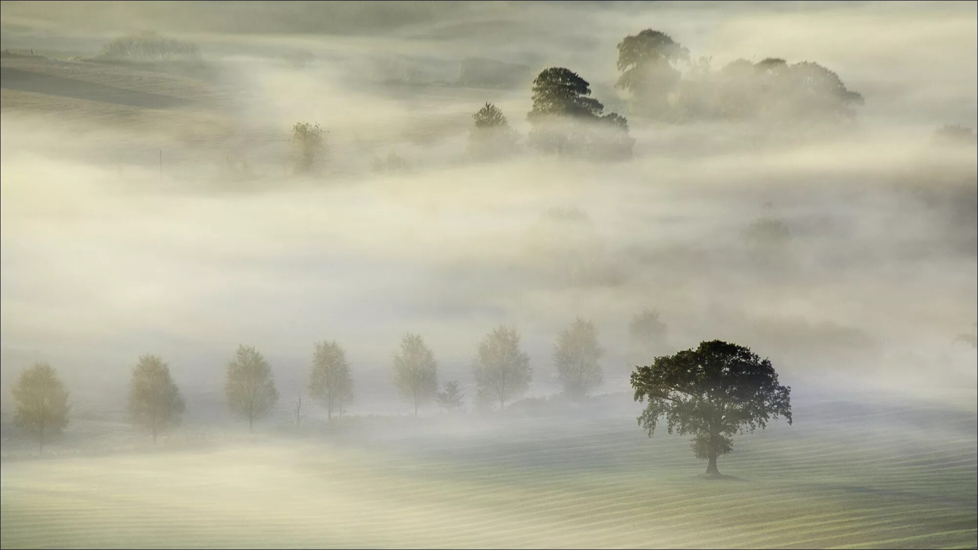 Туманный пейзаж. Мгла природа. Мгла явление природы. Природные явления туман. Песня легкий туман