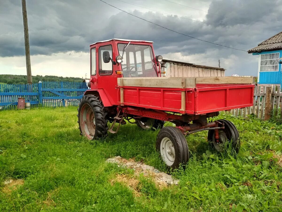 Купить трактор т 16 б у. Т-16 (трактор). Трактор Владимирец т-16. ХТЗ т16м. Трактор т 25 с кузовом.