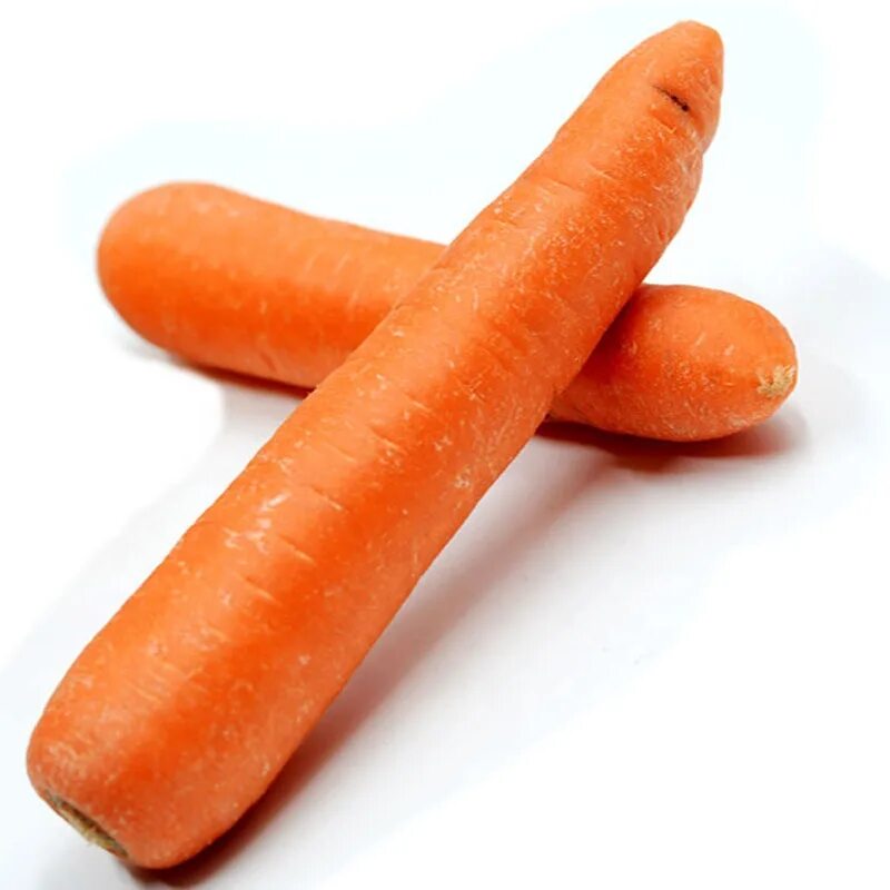 Купить морковь оптом. Крупная морковь. Гигантская морковка. Огромная морковь. Самая крупная морковь.