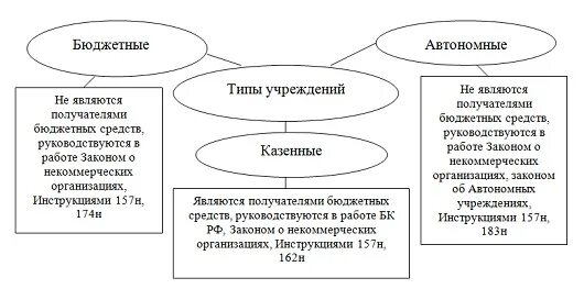 Бюджетное учреждение понятие