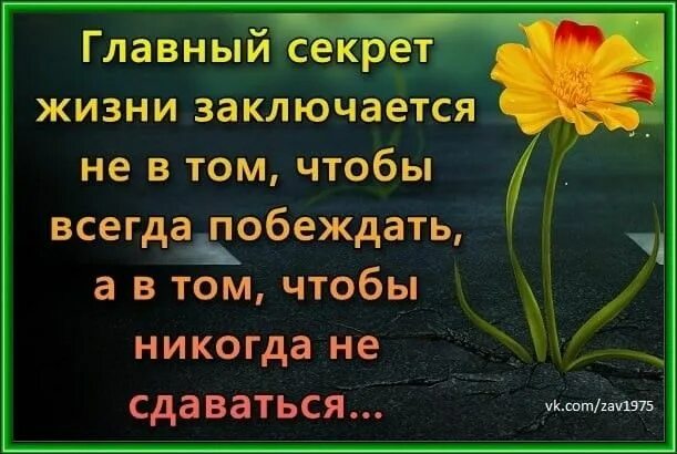 Жизнь состоит не в том чтобы. Главный секрет жизни. главный секрет в жизни заключается не в том чтобы всегда побеждать. секрет жизни в том состоит. побеждай всегда.