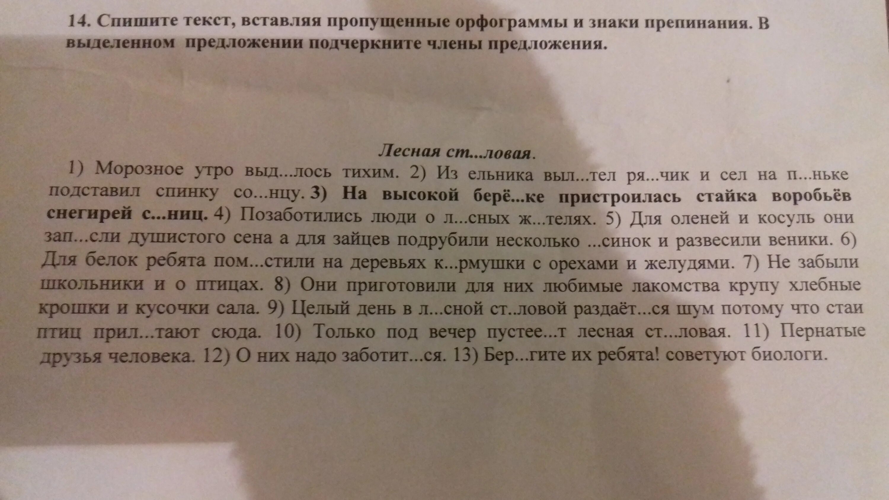 Спишите вставьте орфограммы буквы и знаки препинания. Лесная столовая диктант. поставьте пропущенные орфограммы и знаки препинания. лесная столовая текст морозное утро выдалось тихим. диктант лесная столовая 5.