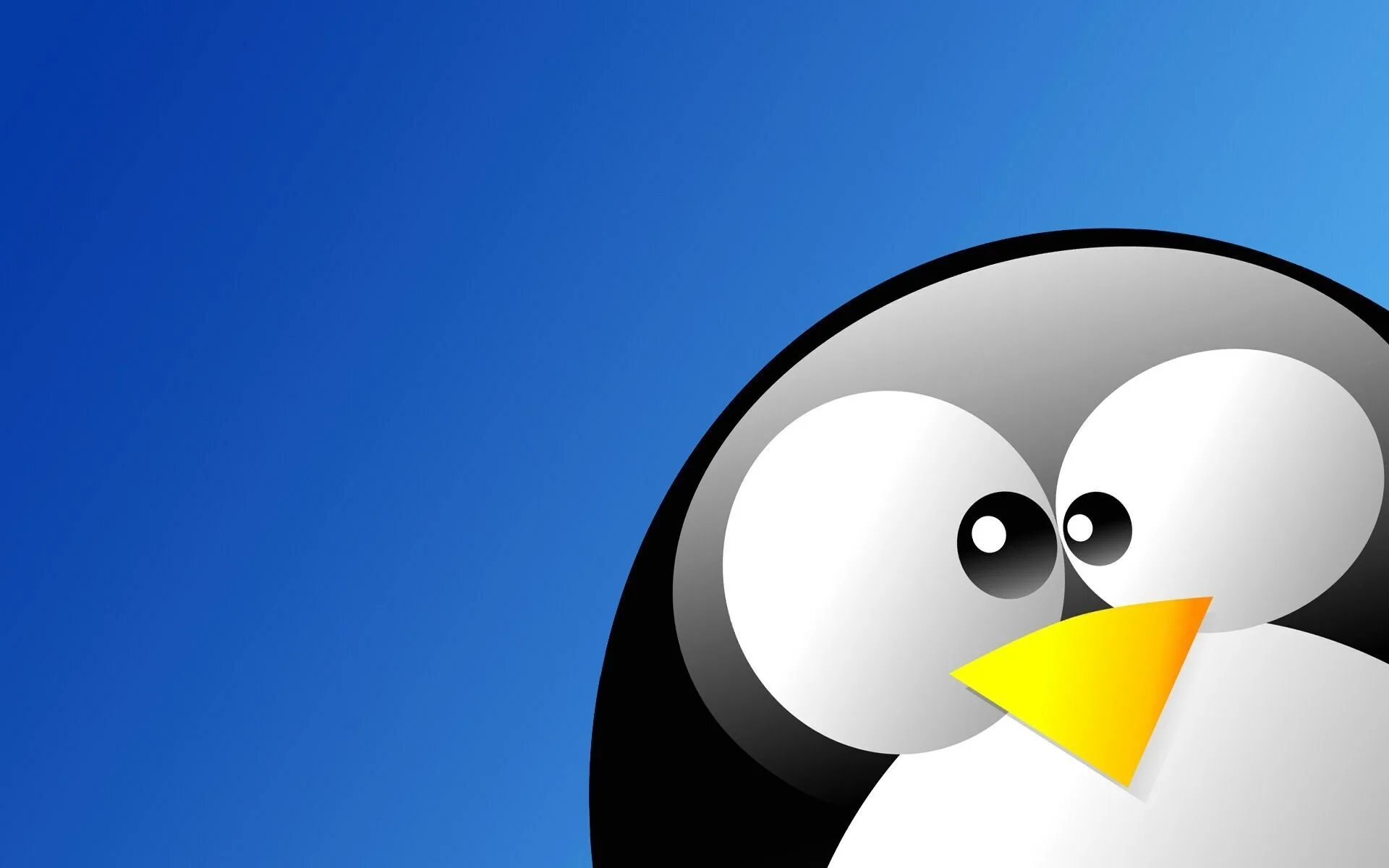 Find not linux. Картинки линукс. facts about linux. important facts linux. chatgpt картинки.