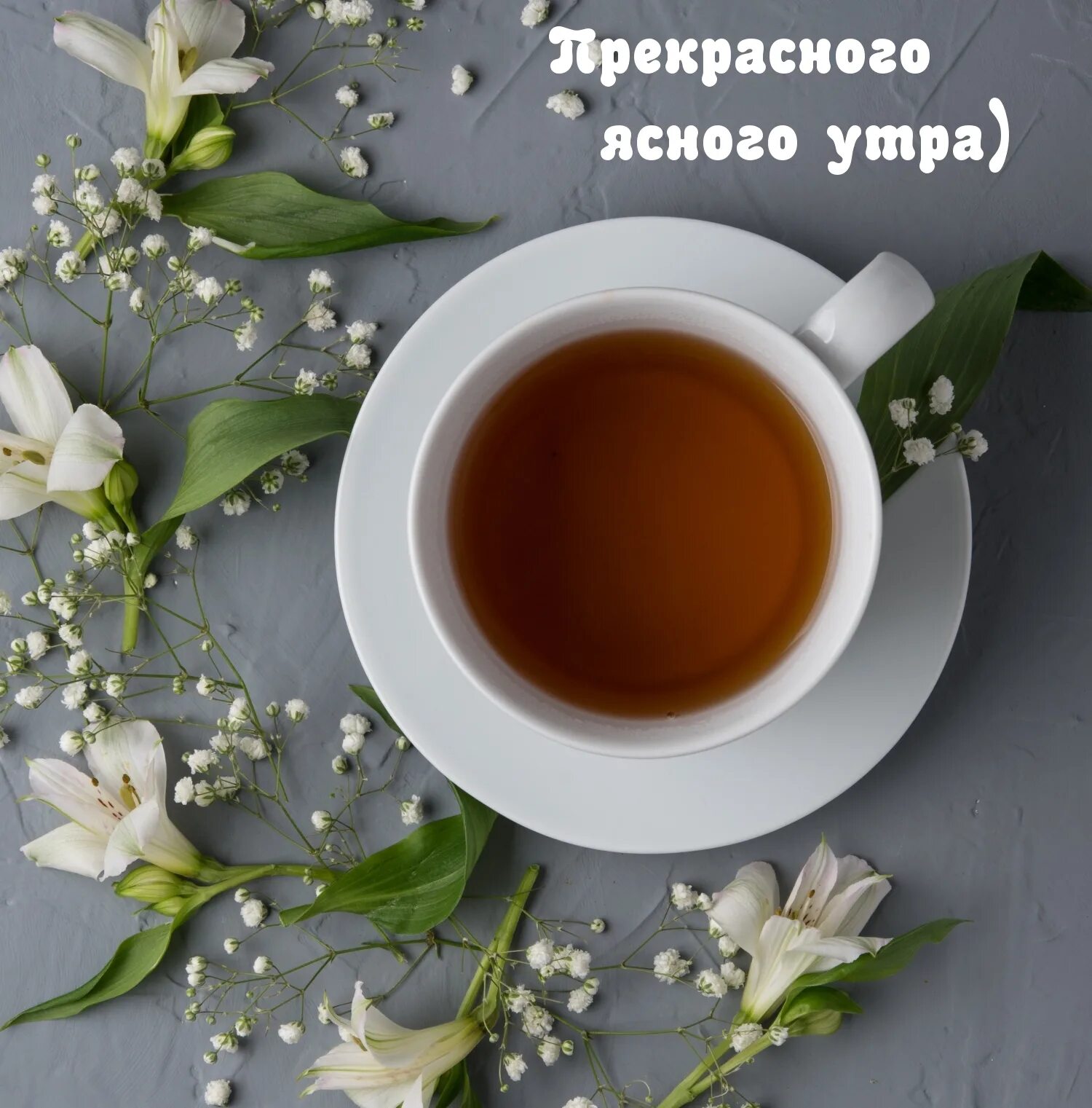 Утро есть утро это ясно. Чай с белыми цветочками. Ясное утро. Доброго ясного утра. Утра ясного и прекрасного.