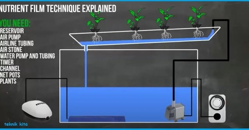 Nft андроид. Nft проекты. nft для чайников. the nutrient film technique hydroponic system. nft генератор.