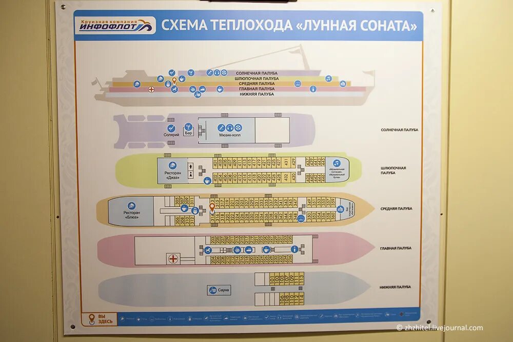 Лебединое озеро расписание 2024. Схема теплохода Лунная Соната. Теплоход Лунная. Теплоход Лунная Соната схема кают. Т/Х Лунная Соната.