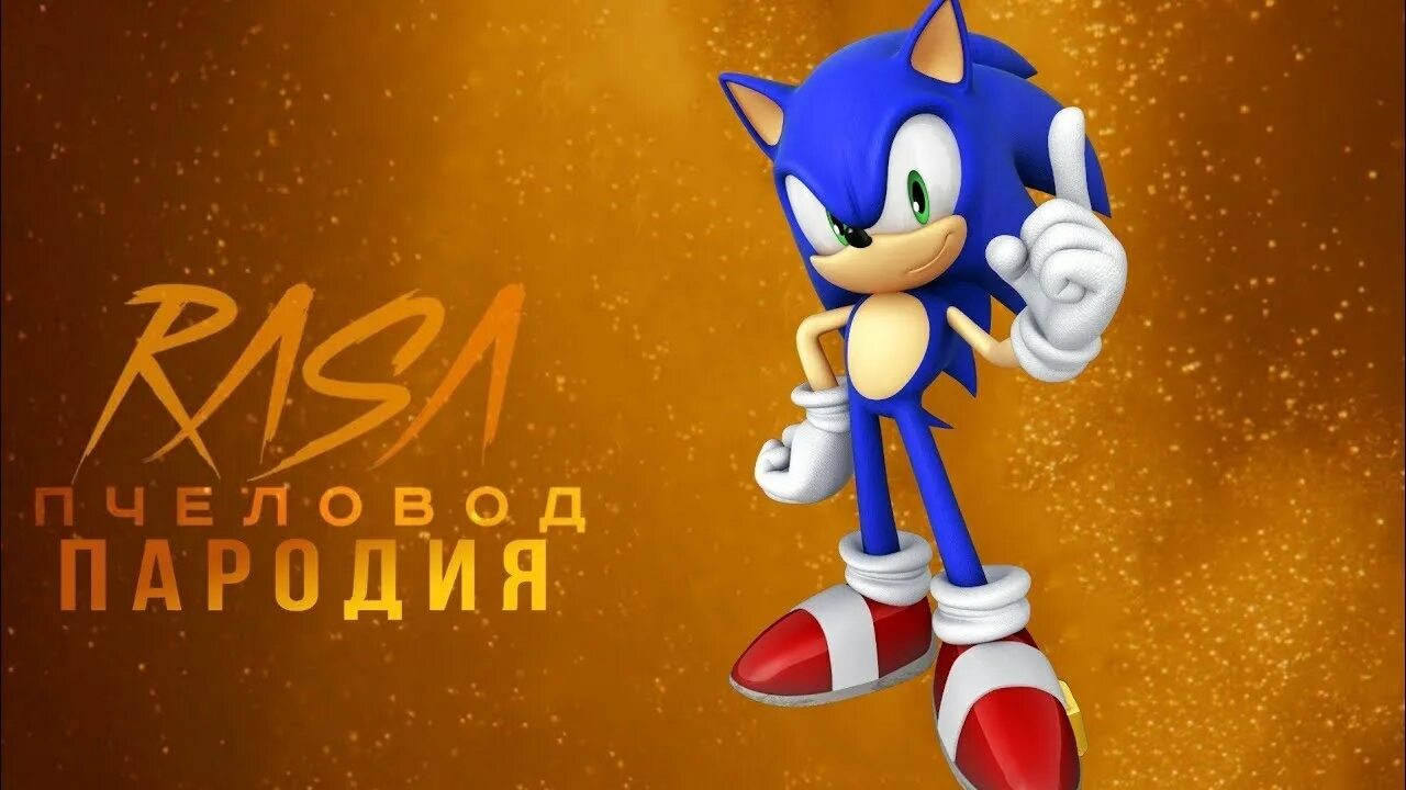Соник про красивую жизнь песня. Соник пародия на соника. соник пародия пчеловод. пародия на соника exe. песня про соника сандер.