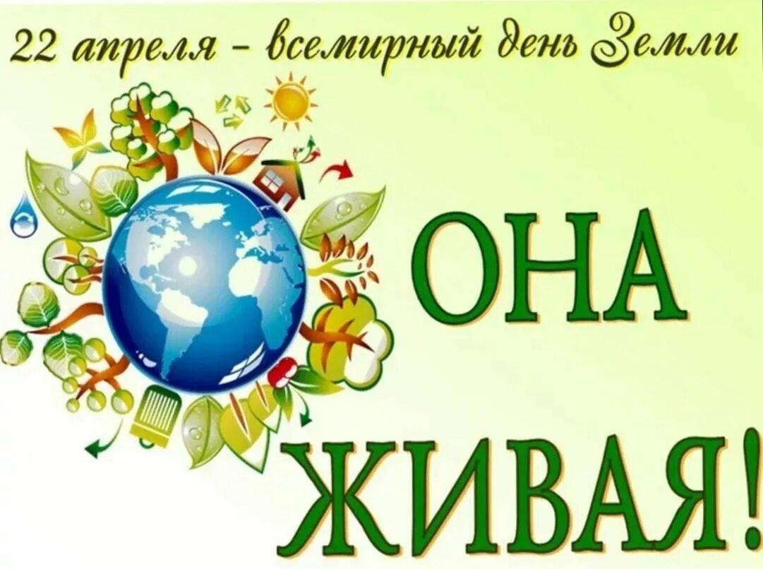 Выставка день земли 22 апреля в библиотеке. Выставка ко дню земли. день земли 22 апреля выставка в библиотеке. международный день земли выставка в библиотеке. книжная выставка к дню земли.