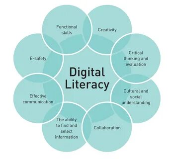 Information and using in other