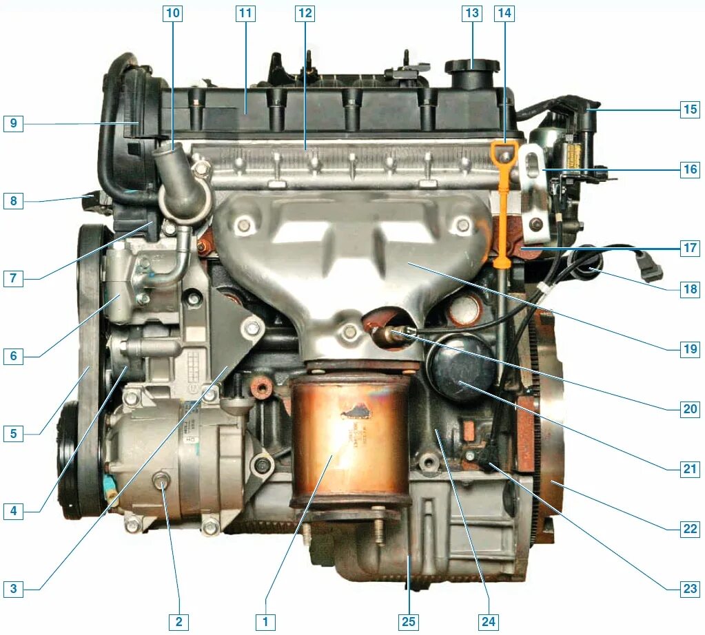Двигатель Лачетти 1.6. Двигатель Шевроле Лачетти 1.6. Двигатель Лачетти f16d3. Лачетти 1.6 двигатель f16d3. Датчики на шевроле лачетти хэтчбек