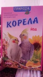 Что можно давать попугаю корелла