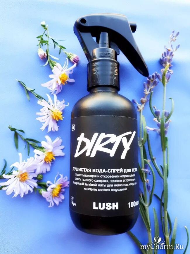 Lush спрей для тела. Спрей для тела lush Dirty. Ароматная вода для тела. Спрей для тела с мятой.