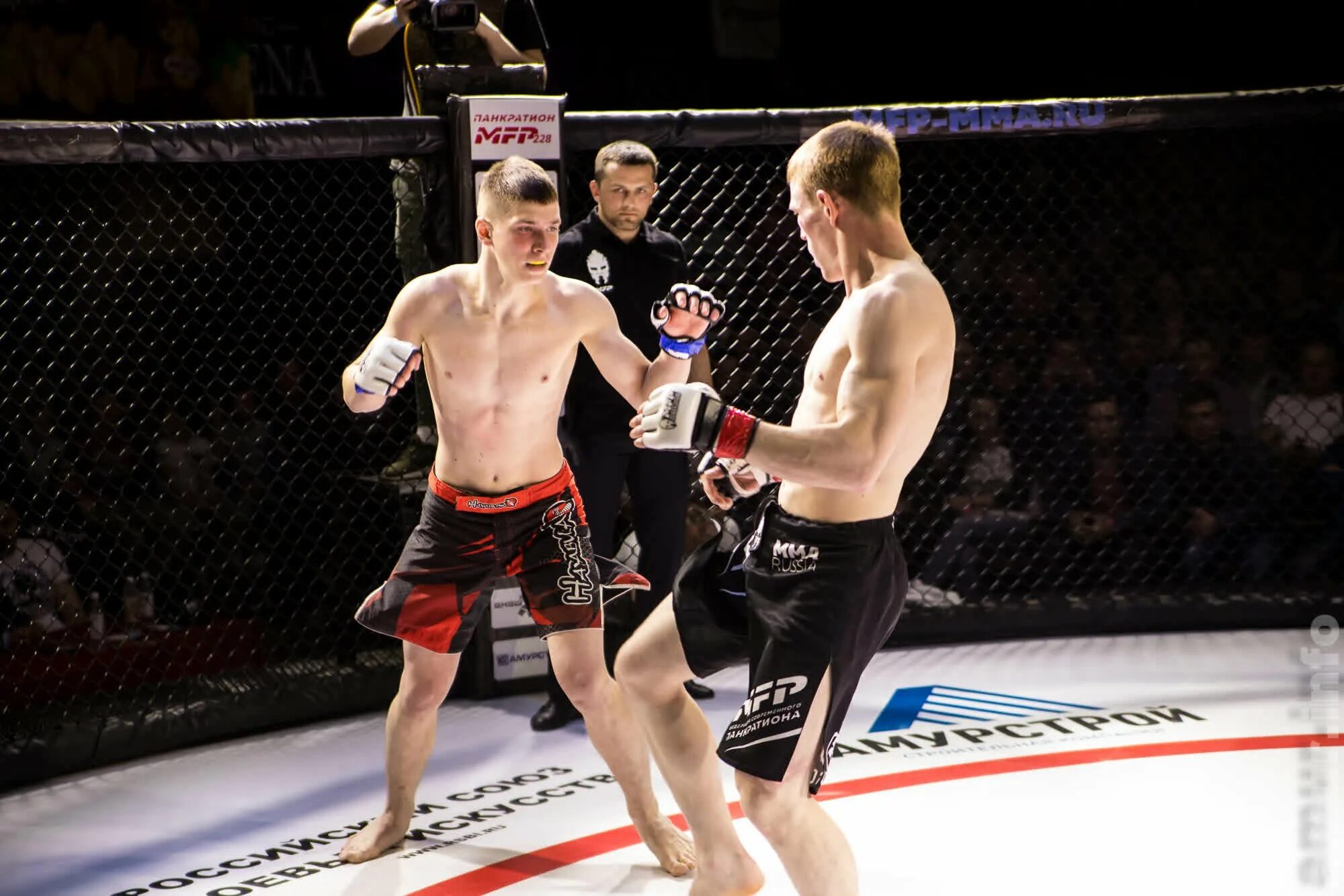 Панкратион мма. Панкратион 2018 в новороссийске. Панкратион греция. Панкратион обои. Панкратион дети.