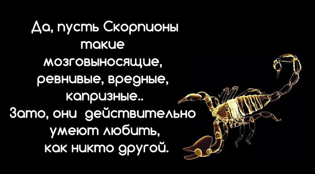 Скорпион мужчина сегодня любовный. Скорпион. Скорпион цитаты. Афоризмы про скорпионов. Фраза скорпиона.