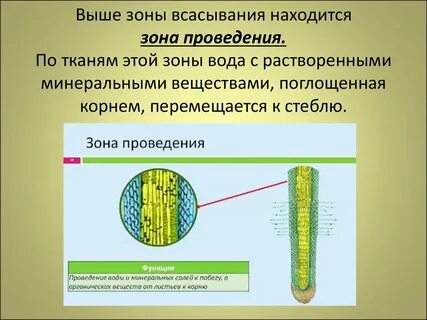 Выше зоны всасывания