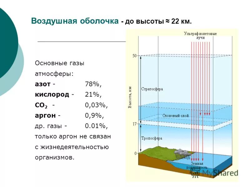 Биосфера охватывает нижнюю часть атмосферы