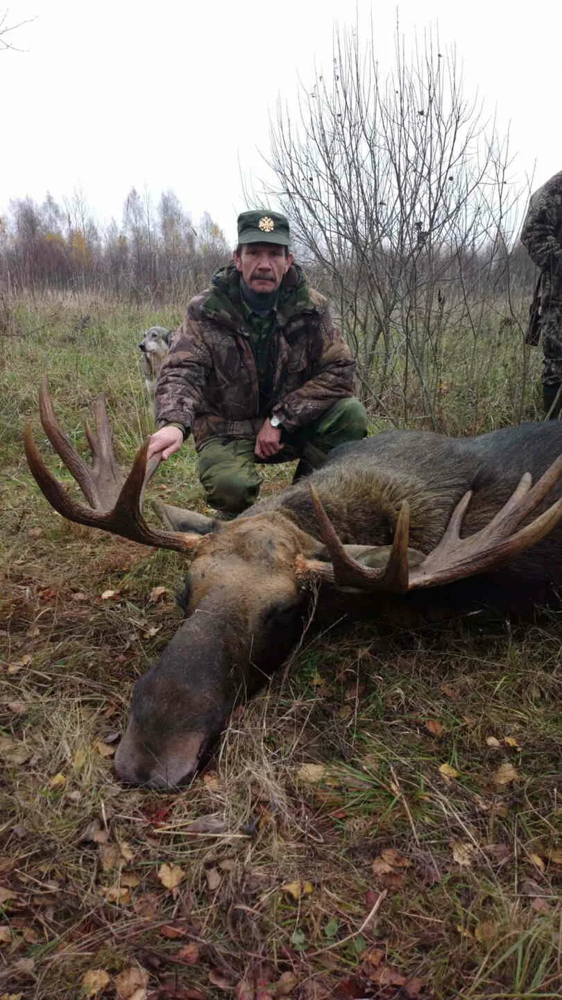 Охотхозяйство смоленской. Охотничье хозяйство лань смоленская область. Гаровитки охотхозяйство смоленская область. Охотхозяйство смоленской. Охотхозяйство смоленской.