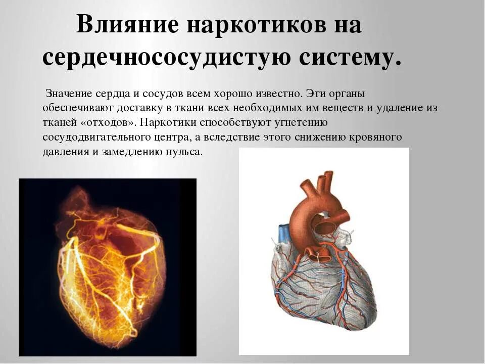 Негативное влияние на сердечно сосудистую систему. Влияние наркотиков на сердечно сосудистую систему. влияние наркотиков на сердце. влияние на сердечно-сосудистую систему. что влияет на сердечно сосудистую систему.