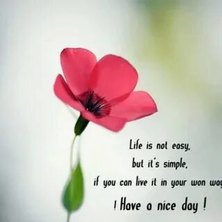 Easy but