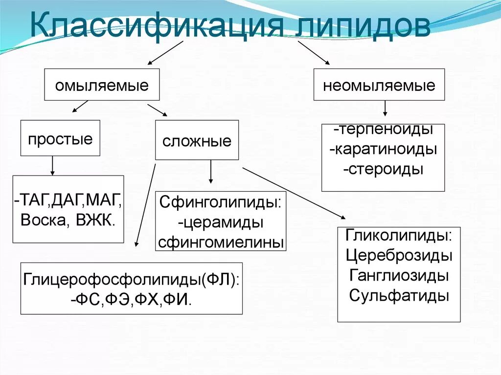 Основные липиды тканей человека. Классификация липидов биохимия таблица. Структура, классификация, функции липидов. Классификация и строение липидов биохимия. Классификация простых липидов биохимия.