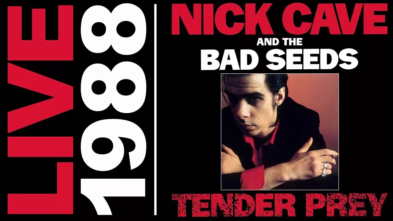 Nick cave the bad seeds o. Nick Cave and the Bad Seeds tender Prey обложка. Nick Cave & the Bad Seeds - 1988 - tender Prey. Tender певец. Nick Cave discography.