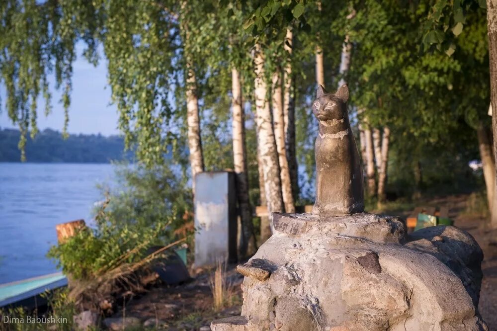 Камень вечной любви. Памятник мухе в Плесе. Памятник кошке мухе в Плесе. Плёс город памятник кошке. Скульптура кошка в Плесе.