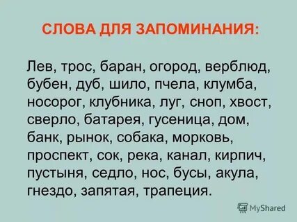 Слово память в названиях