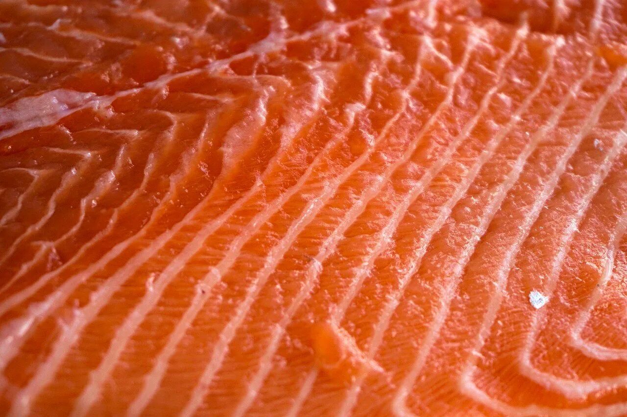 Семга разрезанная. Радужная форель красная рыба. Fish salmon форель. Fish salmon форель. Филе лосося.
