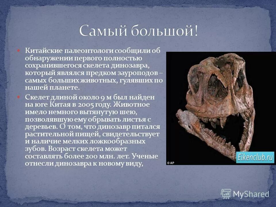 Наука изучающая вымерших организмов. Наука изучающая вымерших организмов. Наука изучающая вымерших организмов. Наука изучающая вымерших организмов. Наука изучающая вымерших организмов.