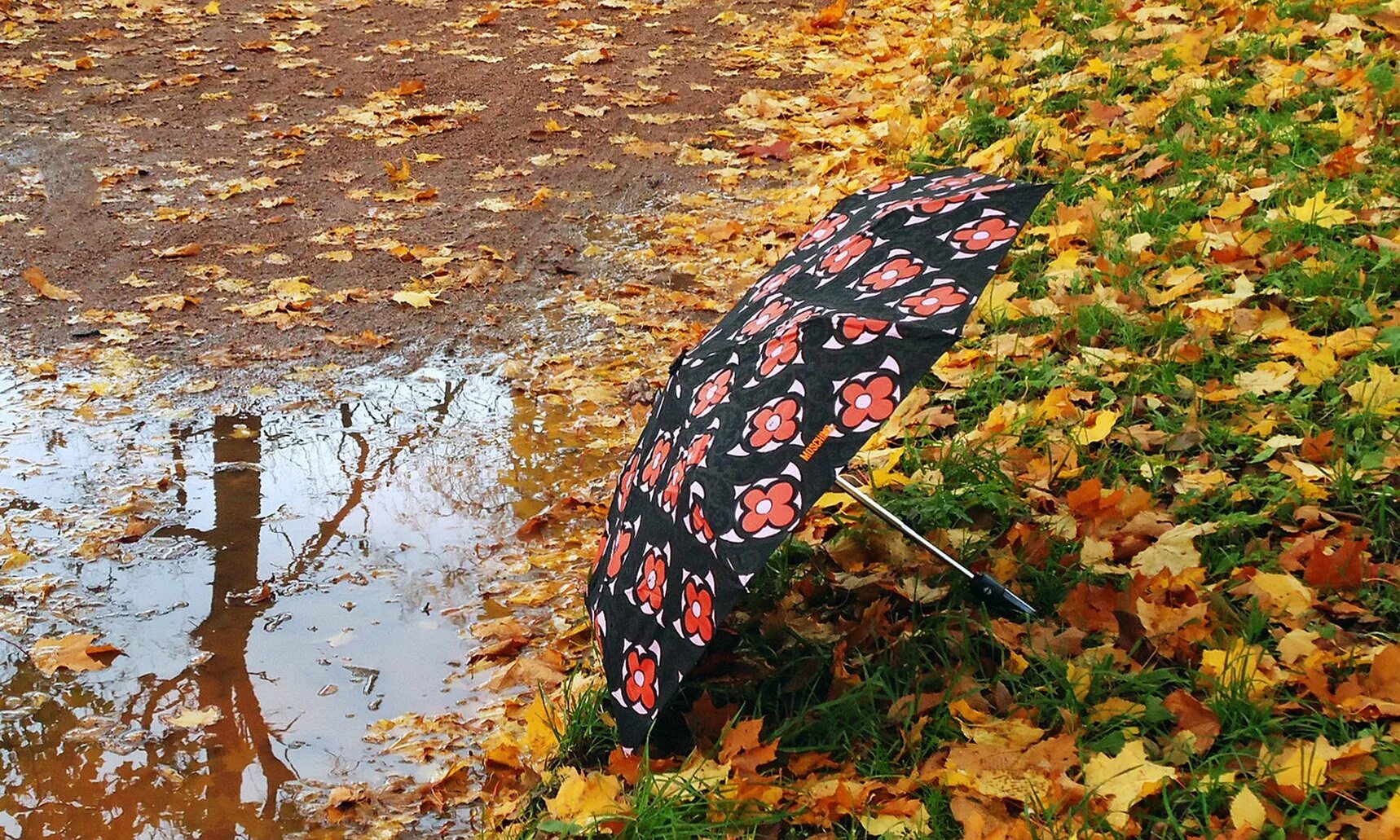 Дождливая осень. Осенний зонт. Осень дождь. Осень дождь зонтик. По настоящему осенний дождь