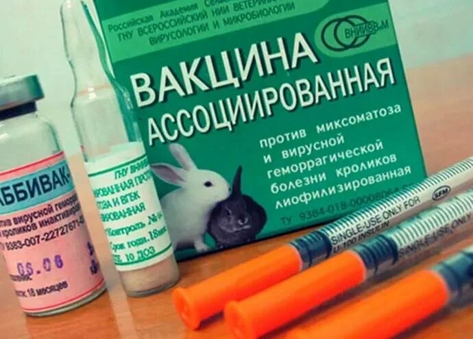 Миксоматоз вакцина купить. Пастереллез кроликов вакцина. Прививка кроликам от миксоматоза и ВГБК. Миксоматоз у кроликов вакцина. Прививка от ВГБК для кроликов.