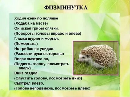 Несть бо тайно еже не явленно будет