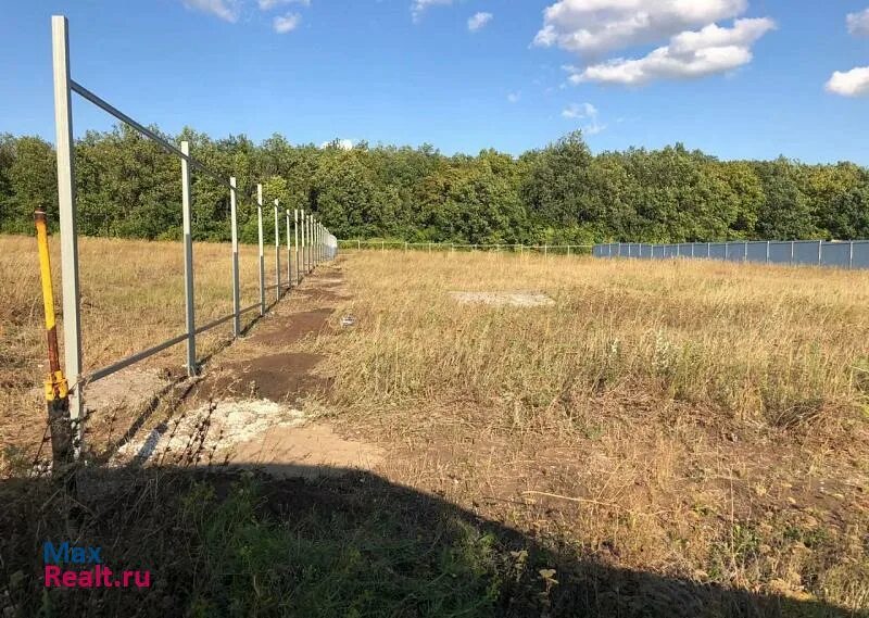 Красный яр ордынский район. Сосновка свердловская область. Земля красный яр. Земля красный яр. Земля красный яр.