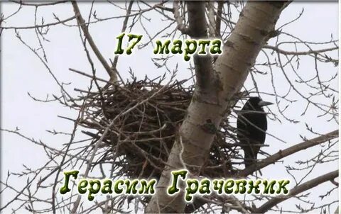Праздник грачей