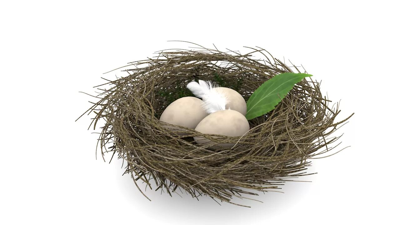 Nest create. Nest create