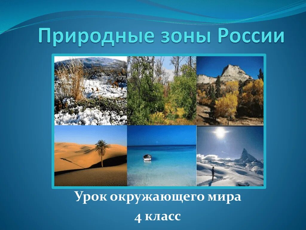 Продукт на тему прироодные зоны России. Природные зоны России. Проект природные зоны. Слайд природные зоны России.